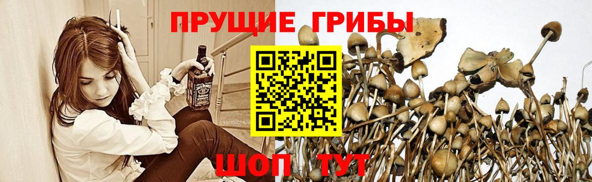 Уфа  Галлюциногенные грибы GOLDEN TEACHER  Вход с VPN 